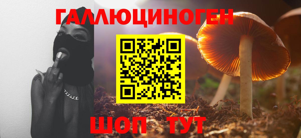 купить закладку  Галлюциногенные грибы Cubensis  Псилоцибиновые грибы MAGIC MUSHROOMS  Вход с VPN  Зерноград 