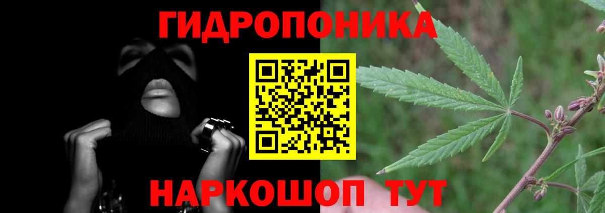 МАРИХУАНА ГИДРОПОН  Каннабис AK-47  Зерноград  Вход с VPN  Каннабис планчик  Бошки Шишки план 
