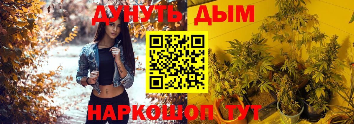 Марихуана OG Kush Зерноград
